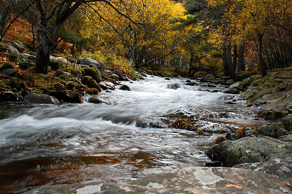 Ríos de Alta Montaña